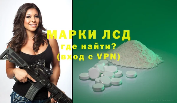 прущие грибы Карпинск