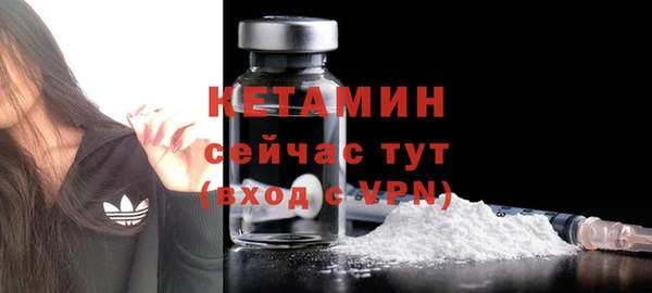 прущие грибы Карпинск