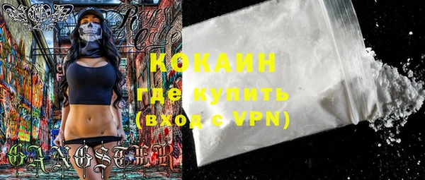 прущие грибы Карпинск