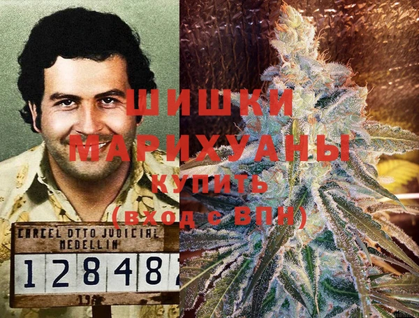 прущие грибы Карпинск