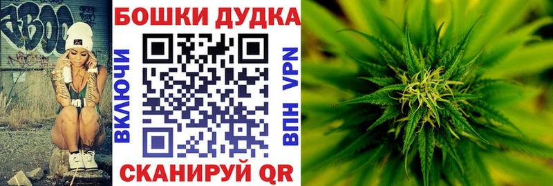 Шишки марихуана Amnesia  Купить где  Железногорск-Илимский 